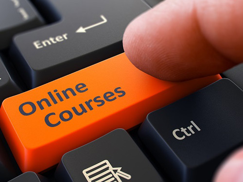 Online Dutch Course